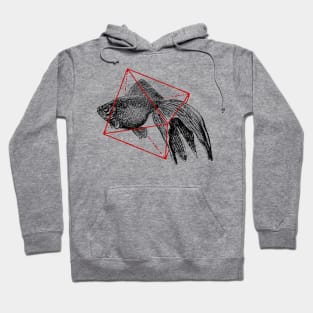 Fish in Geometrics Hoodie